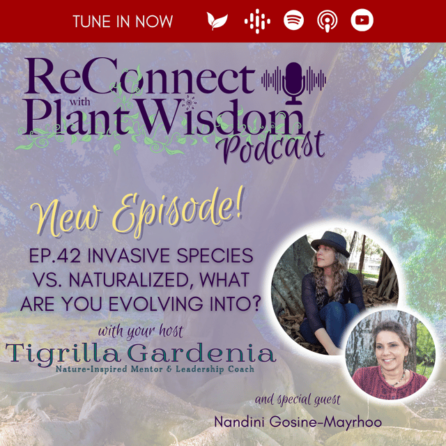 Ep.42 Invasive species vs. Naturalized, What Are You Evolving Into? image