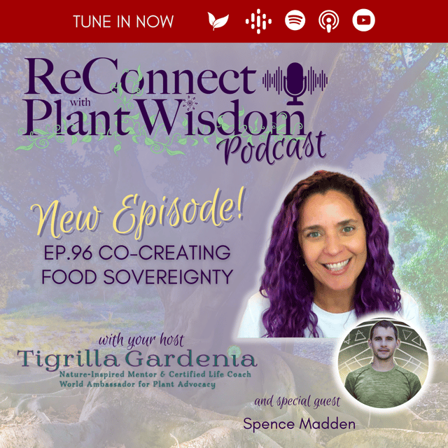 Ep.96 Co-Creating Food Sovereignty with Spence Madden image