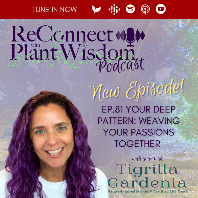 Ep.81 Your Deep Pattern: Weaving Your Passions Together image