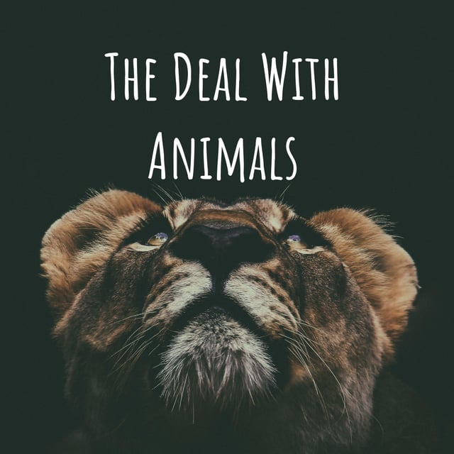 31: Attitudes Towards Animals with Matti Wilks (S5) image