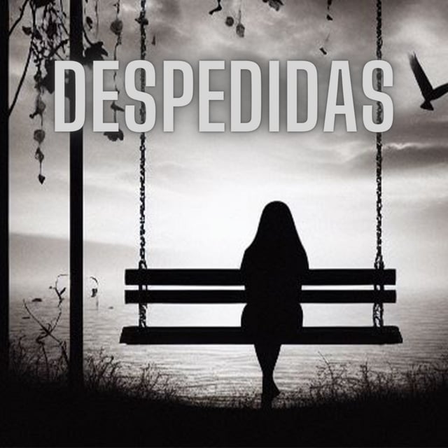 Despedidas! image
