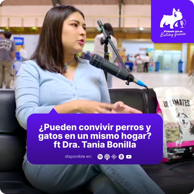 ¿Pueden convivir perros y gatos en un mismo hogar? ft Tania Bonilla, MV image