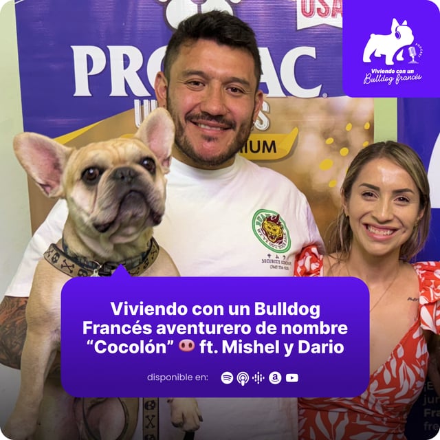Viviendo con un Bulldog Francés aventurero de nombre “Cocolón” 🐽 ft. Mishel y Dario image