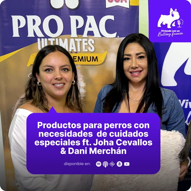 Así nació Happy Paw ft Dani Merchán & Joha Cevallos image