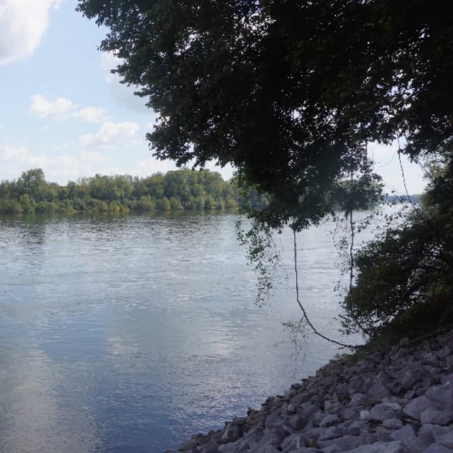 Audio Portrait of a Big Southern River image