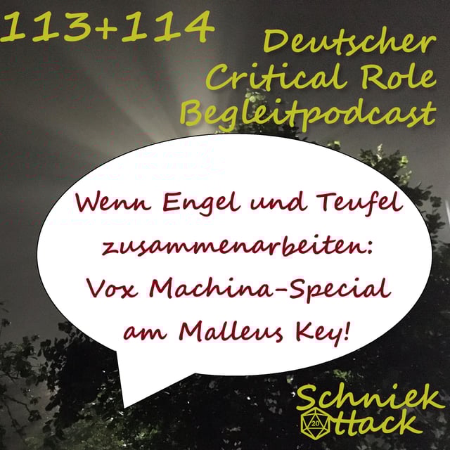 Vox Machina-Special: Vax' Befreiung am Malleus Key (#113 Assault on the Malleus Key, #114 Fight for the Bloody Bridge) image