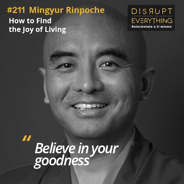 Mingyur Rinpoche: how to find the Joy of Living, embodying Awareness, Love, Compassion and Wisdom, and becoming free from fear, panic and anxiety - Disrupt Everything #211 image