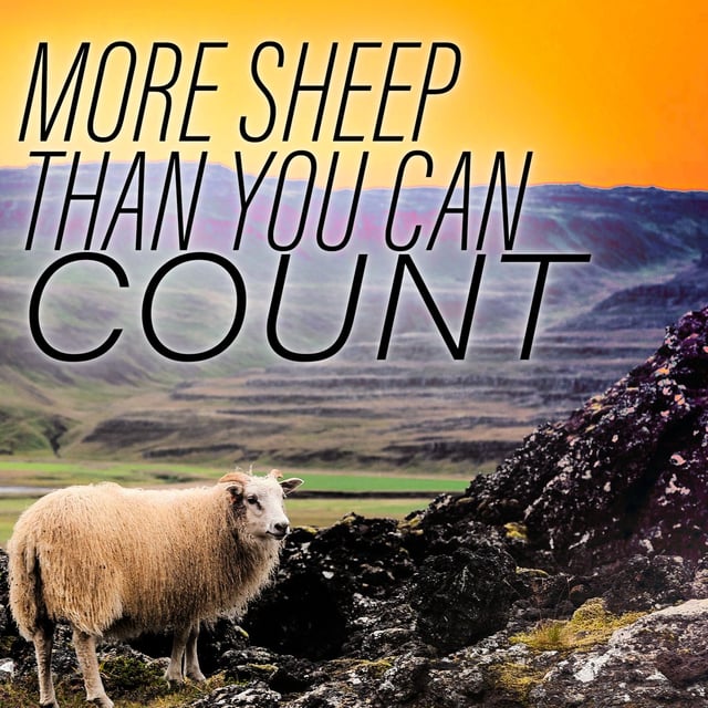 56: More Sheep than You Can Count (Transfinite Cardinal Numbers) image
