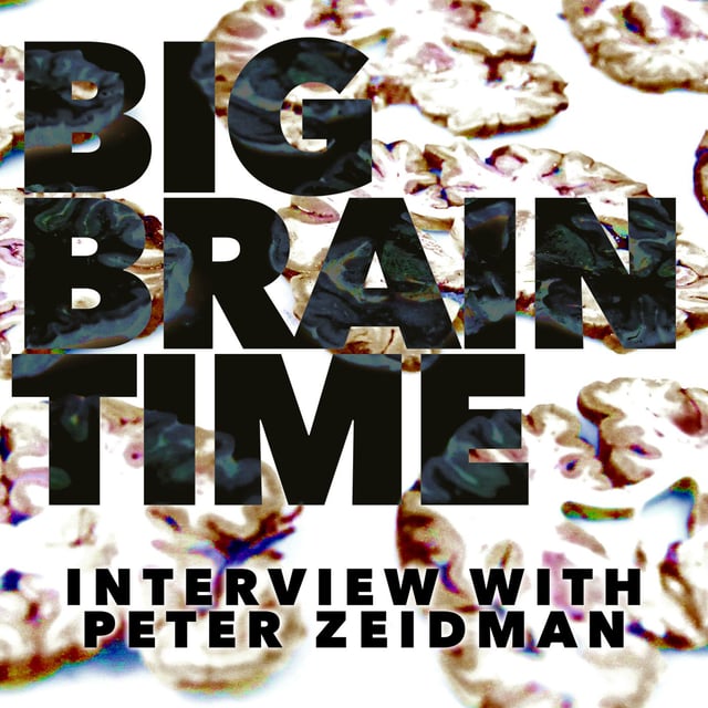 53: Big Brain Time (An Interview with Peter Zeidman from the UCL Institute of Neurology) image