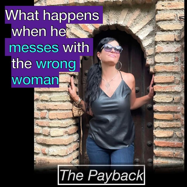 The Payback image