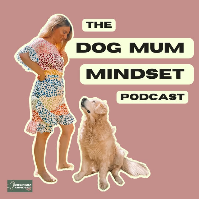 37. A Mini Masterclass About Keeping Yourself Safe Around Other People’s Dogs  image