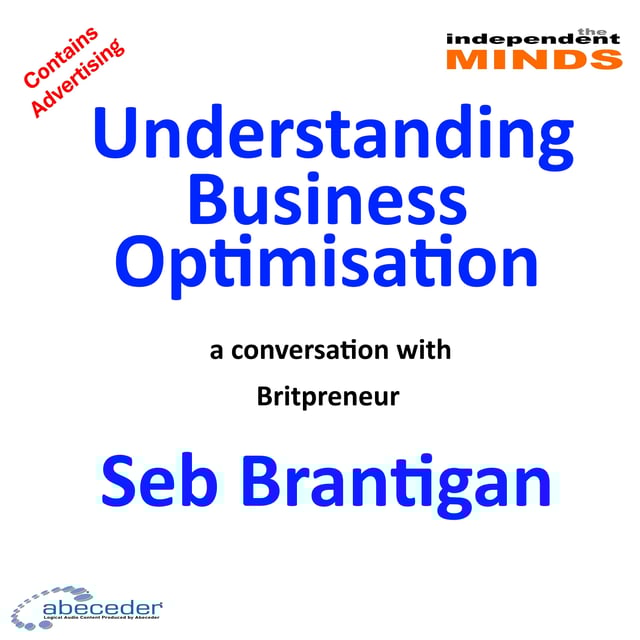Understanding Business Optimisation – a conversation with Britpreneur Seb Brantigan image