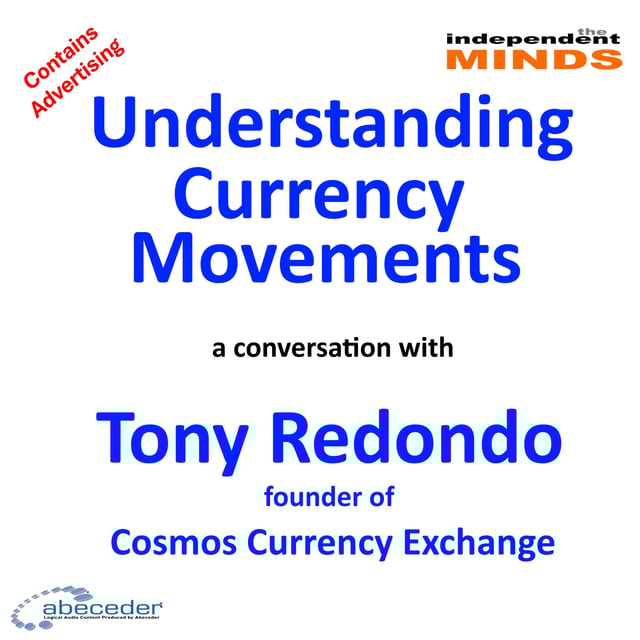 Understanding Currency Movements – a conversation with Tony Redondo  image