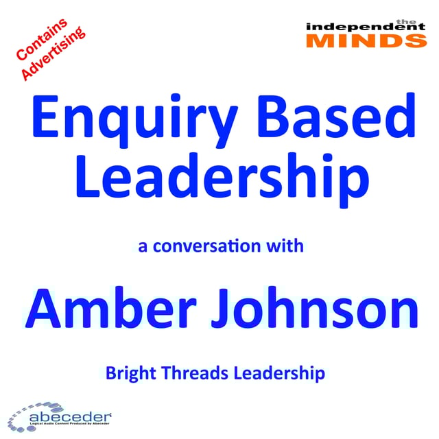 Enquiry Based Leadership – a conversation with Amber Johnson image