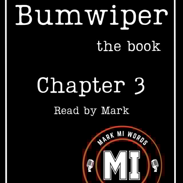 BUMWIPER the book - chapter 3 | Mark MI Words #PTSD #bumwiper image