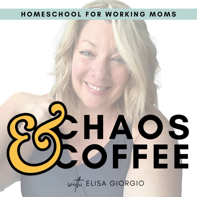 10 (Controversial) Things I Don’t Do in My Homeschool, S3 E132 image