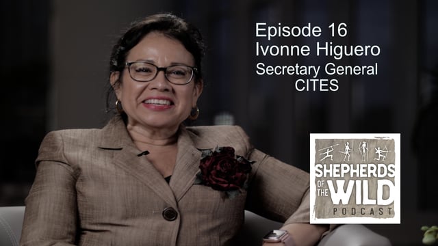 Ep. 16 - Ivonne Higuero - CITES Secretary General image