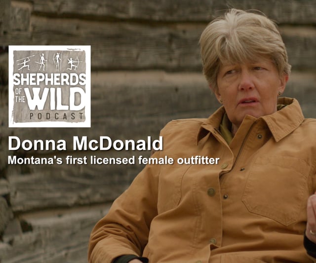 Ep 39 - Donna McDonald image