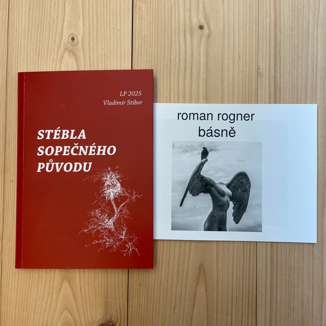 Čtení Poetického klubu - Vladimír Stibor + Roman Rogner image