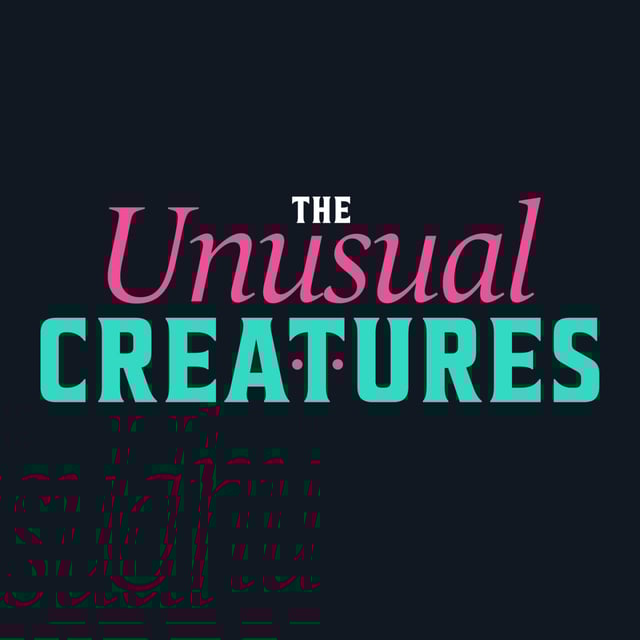 Telling the Real Stories with Jenni Ruiza image
