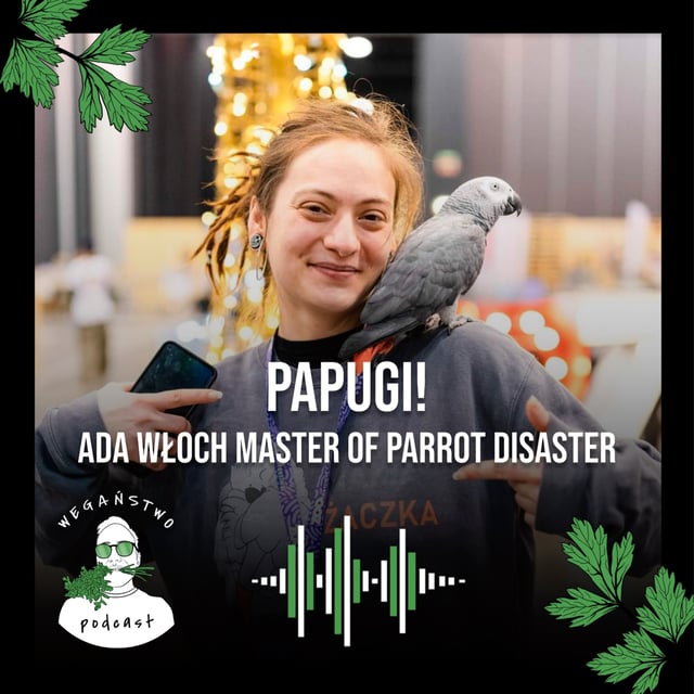 Papugi! Ada Włoch - Master of Parrot Disaster - odc. 110 image
