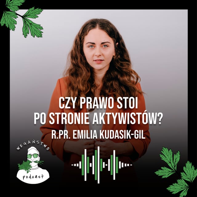 Czy prawo stoi po stronie aktywistów? Cz. 2. Interwencje. Emilia Kudasik-Gil - odc. 115 image