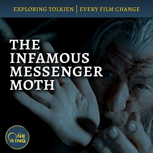 155. The Infamous Messenger Moth : Film Changes #38, #39, and #40 image