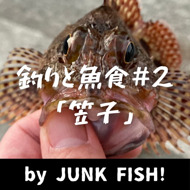 釣りと魚食#2「カサゴ（アラカブ）」【ゲスト：こーじ】 image