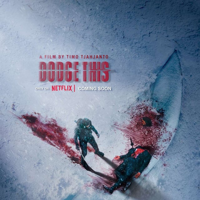 THE SHADOW STRAYS (Indonesia, 2024) with Emil Struijker Boudier image