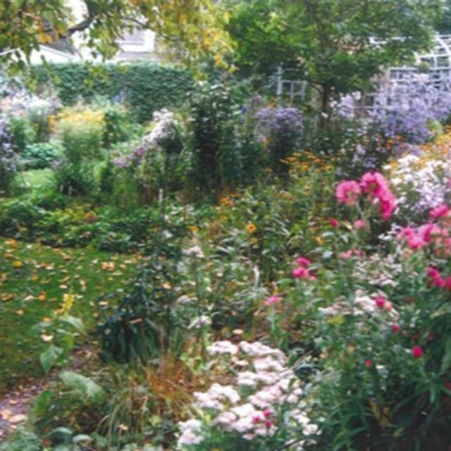 Life is messy - how nature helps us embrace imperfection image