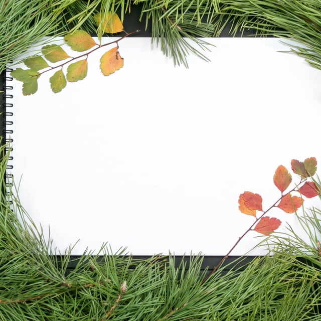 Leave Grudges Behind - How to Start the New Year with a Clean Slate image