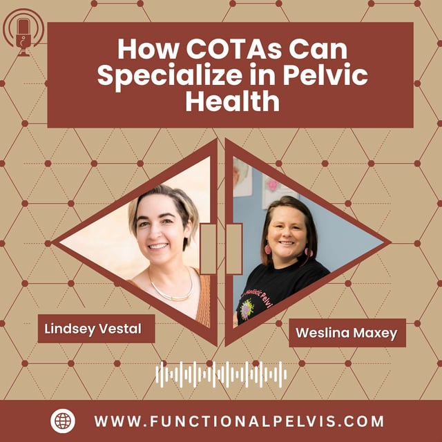How COTAs Can Specialize in Pelvic Health image