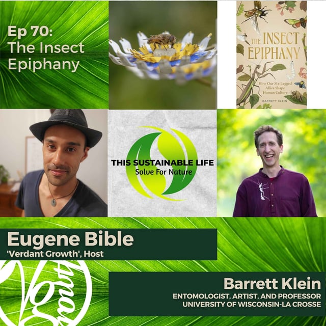 The Insect Epiphany w/ Barrett Klein image
