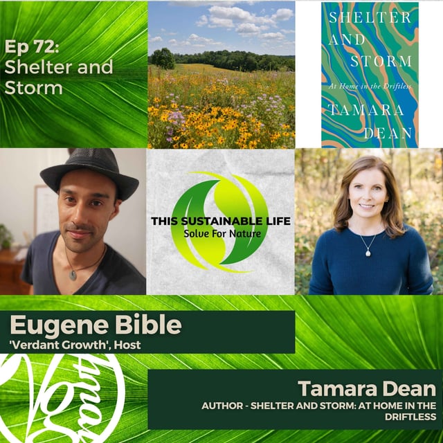 Shelter and Storm w/ Tamara Dean image