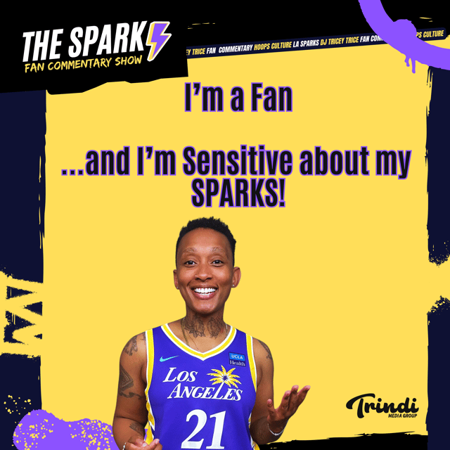 I'm sensitive about my SPARKS + Press Conference Footage: Sparks vs. Minnesota Lynx  image