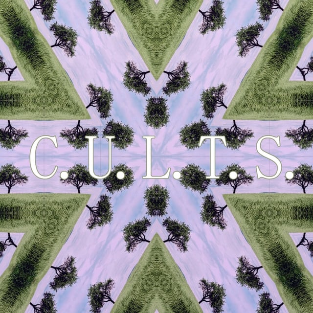 38. Secrets of the CULTS (feat. James) | Can You Leave The Simulation? image