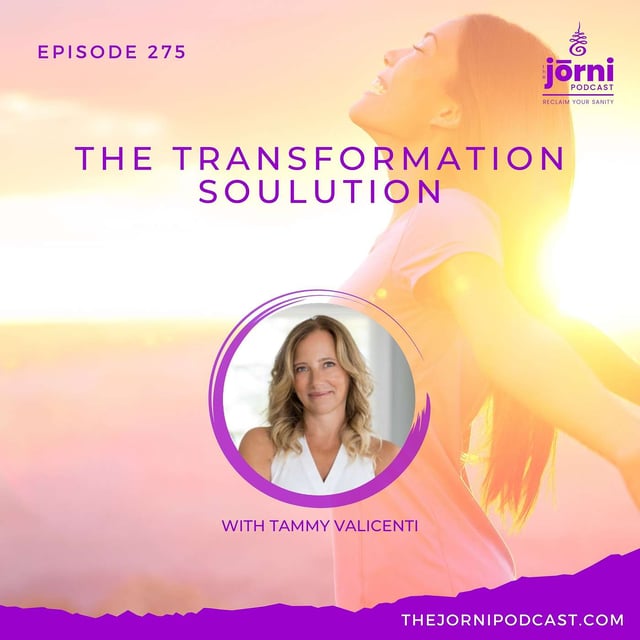 Episode 275 - The Transformation Soulution with Tammy Valicenti image