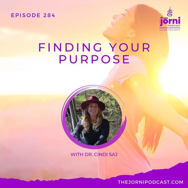 Episode 284 - Finding Your Purpose with Dr. Cindi Saj image