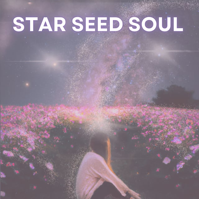 Finding Connection to Your Star Seed Soul image