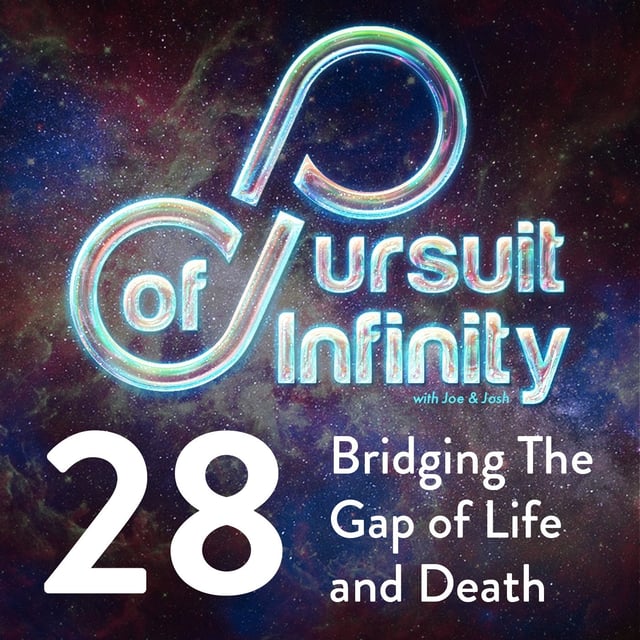 28. Bridging The Gap Of Life And Death image