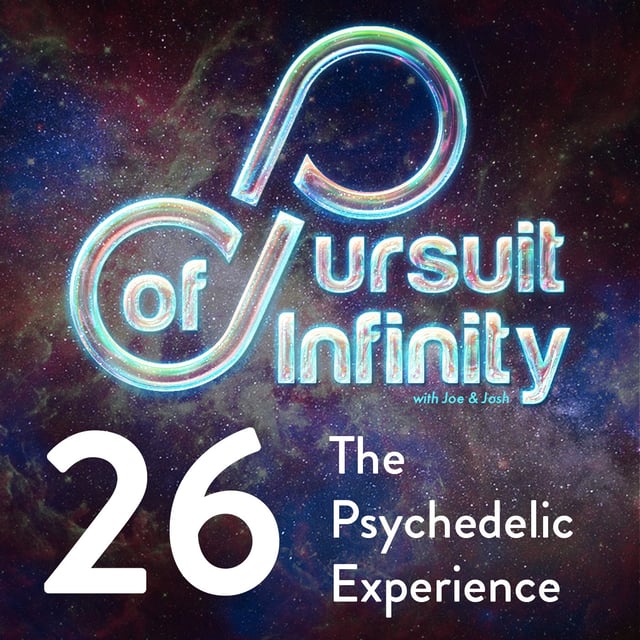 26. The Psychedelic Experience image