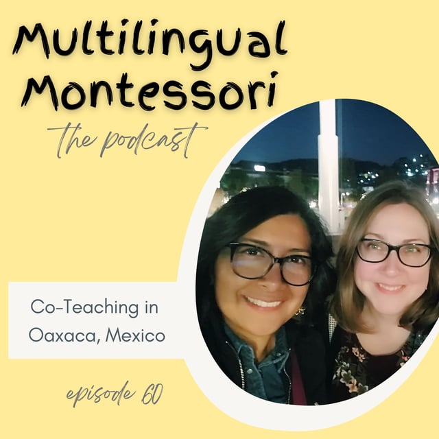 60. Co-Teaching in Oaxaca, Mexico image