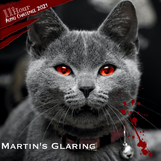 Martin‘s Glaring image