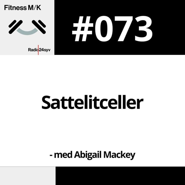 #073 Sattelitceller image