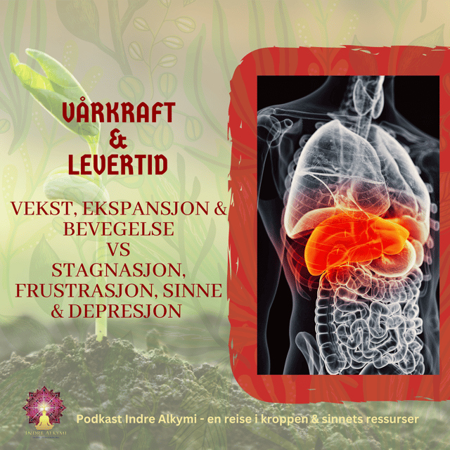 Vårkraft & levertid - vekst, ekspansjon og bevegelse vs stagnasjon, frustrasjon, sinne og depresjon image