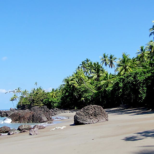 Episode 25 : Tricia Stapleton & Iris Nekelman: Ecoregeneration and community in Costa Rica : image