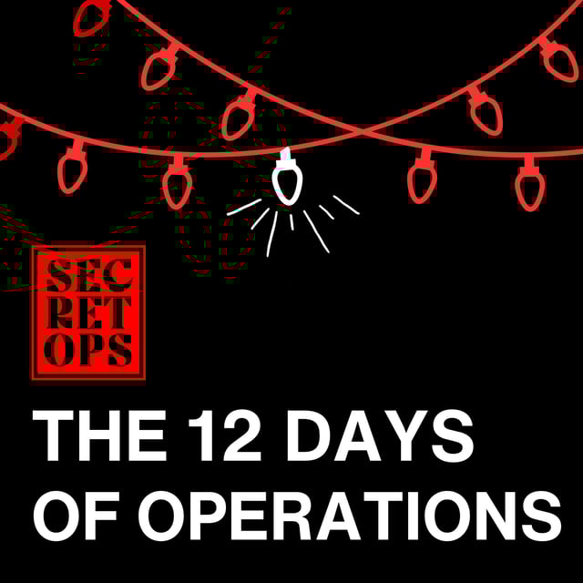 2024 Wrap Up with the 12 Days of Operations image