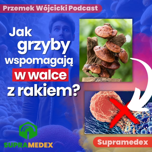 Grzyby na Zdrowie - Uzdrawiająca Moc Grzybów i Ekstraktów z Grzybów image