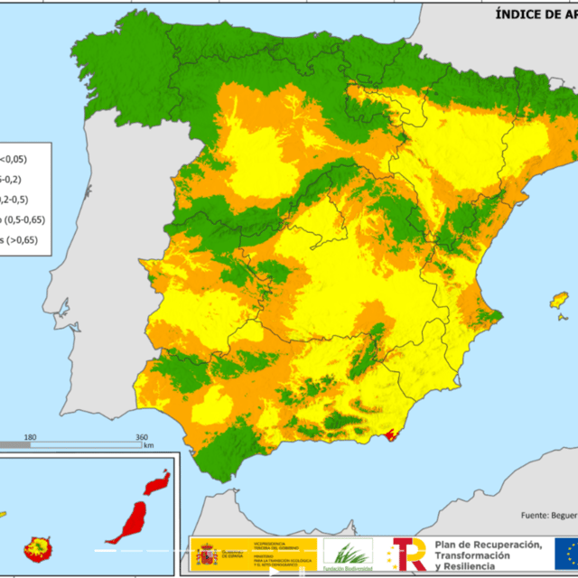 Urracas repobladoras frente a la desertificación image