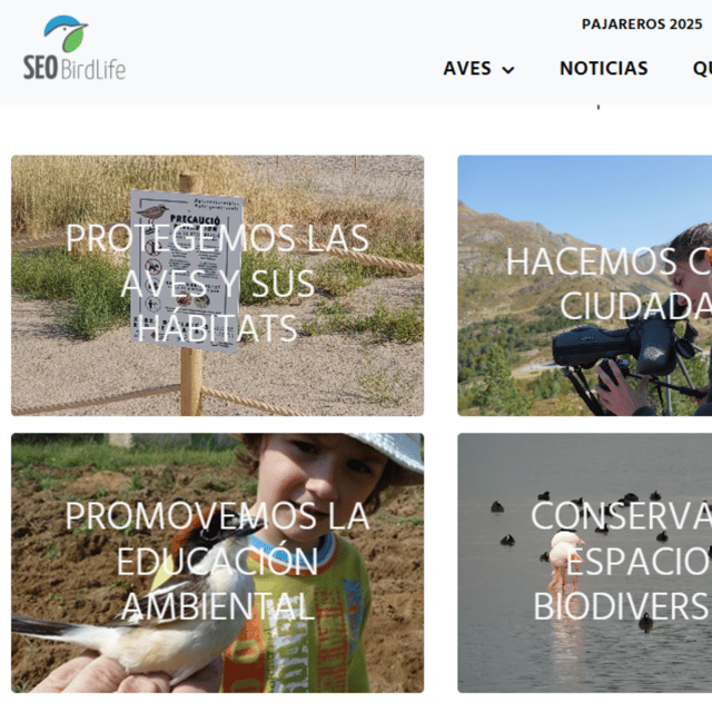 Lo que hace SEO image